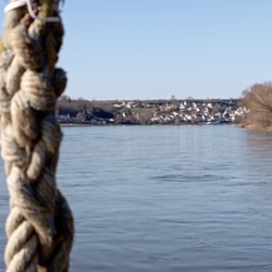 9 avril 2022 - Approche de Montsoreau